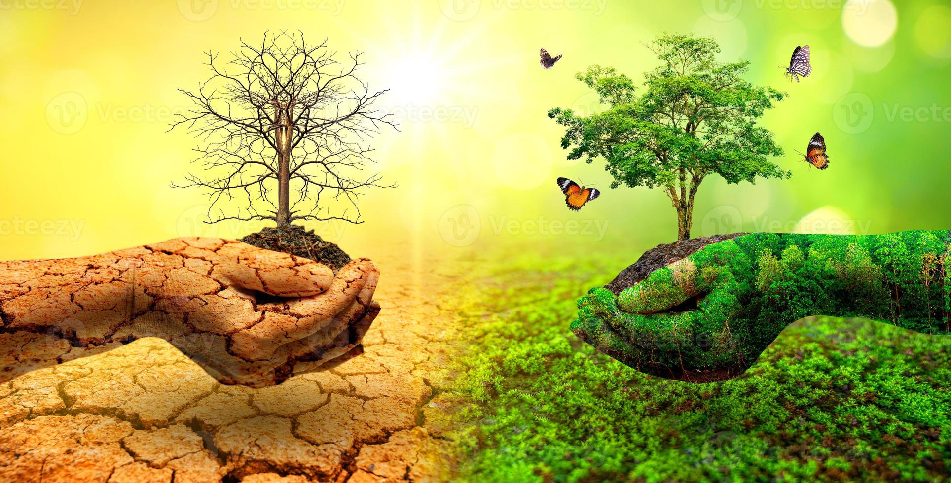 Concept Of Environmental Conservation And Global Warming Photo 
