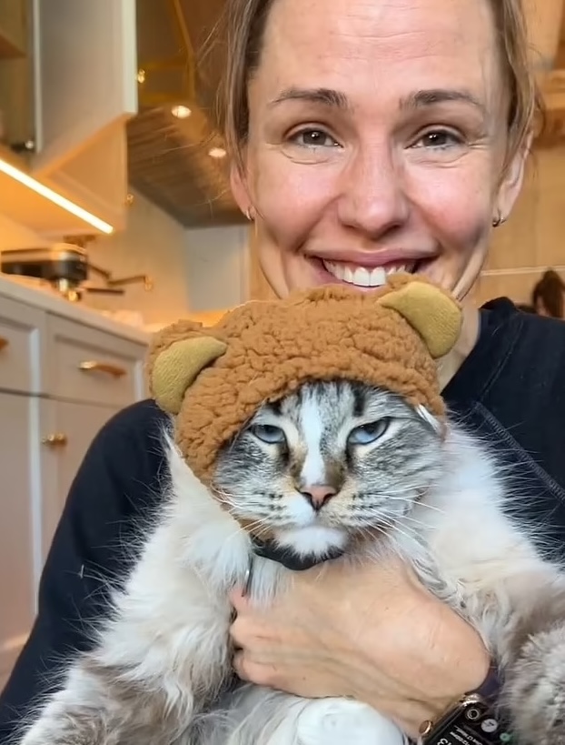 Celebs Stop Dressing Up Your Cats! Daily Candid News